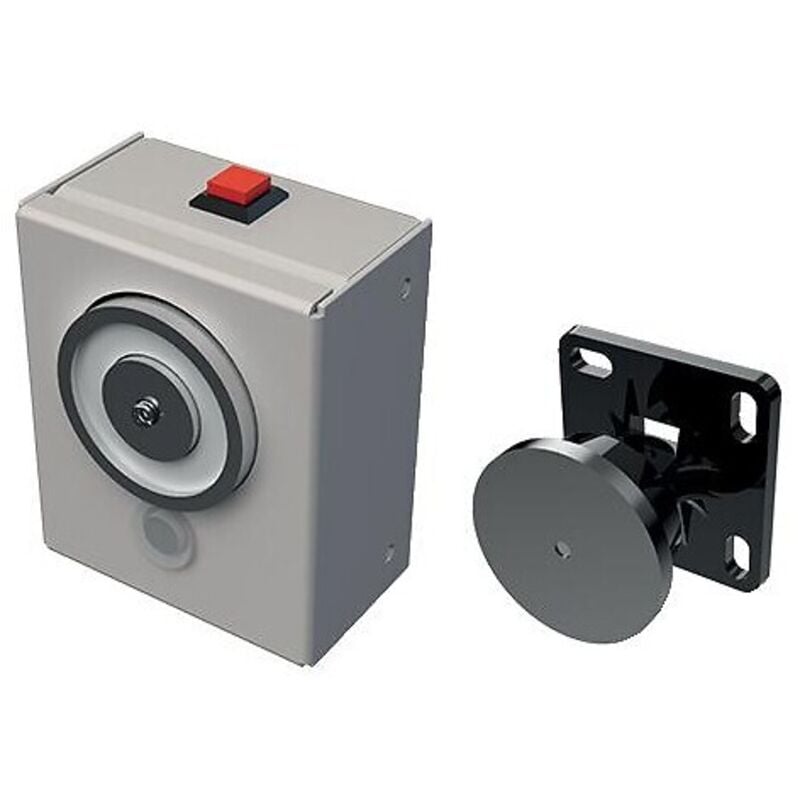 Ventouse de maintien de porte ouverte, coupe-feu, avec décondamnation, 40 DaN, bi-tension 24/48 V cc - SEWOSY