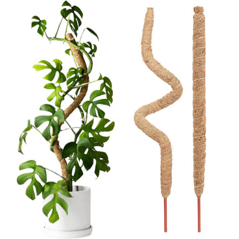 Poteau en mousse pliable de 121,9 cm pour plantes Monstera, support de plantes pour piquets de plantes (2 pièces)