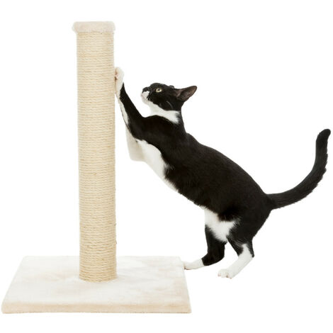 Poteau griffoir Parla, hauteur de 62 cm. beige, pour chats - animallparadise - Beige