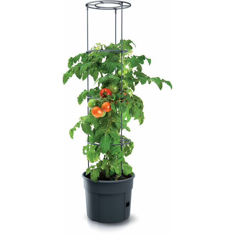 Poteau pour tomates - Tomato Grower - Pot de plantation Ø 29,5 cm / Hauteur jusqu'à 153 cm