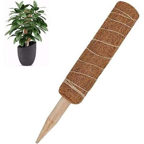 Poteau tuteur en fibre de coco pour plantes grimpantes, support mousse pour plantes d'intérieur, 45 cm