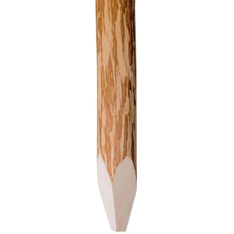 Poteaux pointus de clôture 4 pcs Bois de noisetier 120 cm