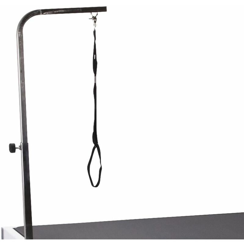 Chadog - Potence simple pour Table toilettage Pluton