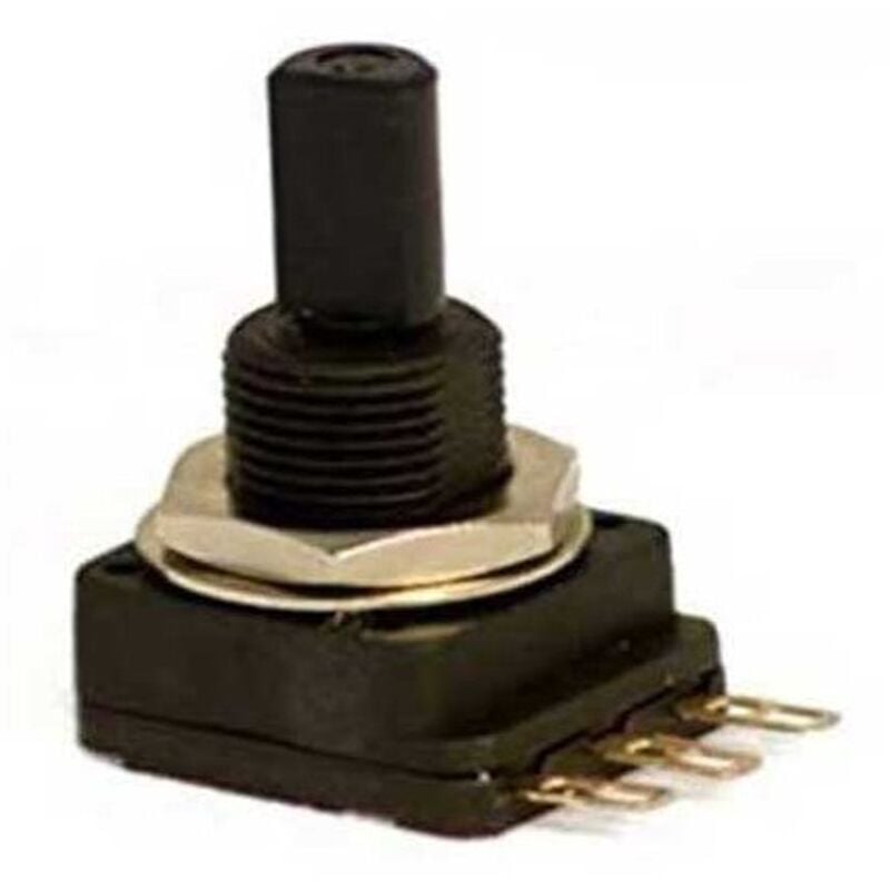 

Potenciometro 10 Gti Baxiroca 147054054