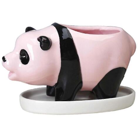 Poterie en céramique pour plantes grasses, pot panda floral, décoration intérieure pour succulentes, contenant design maison.