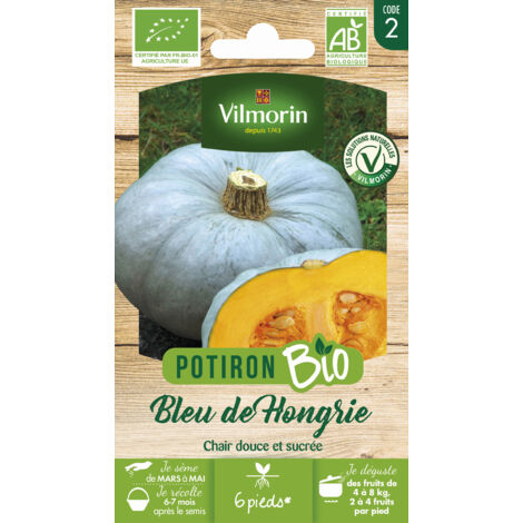 Potiron Bleu de Hongrie - BIO Vilmorin