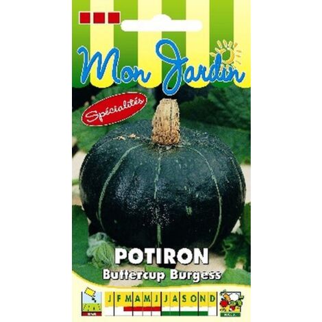 Potiron Buttercup Burgess - 5g