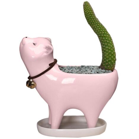 Pots de Cactus en Céramique avec Trou de Drain - Mini Pots pour Plantes Grasses, Déco Bureau et Maison