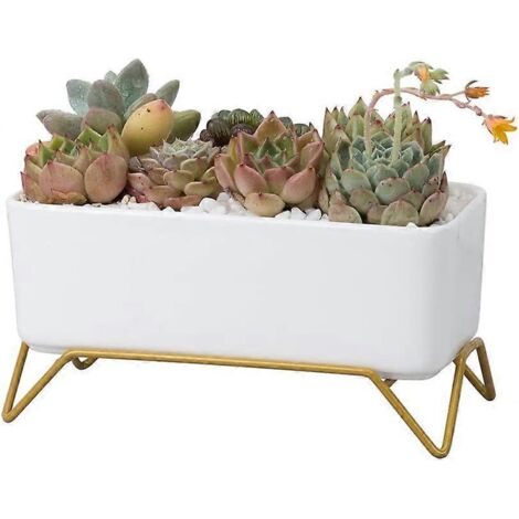 Pots de fleurs en céramique avec support en fer - Pour plantes grasses - Rectangulaires - Pour bureau, plantes grasses