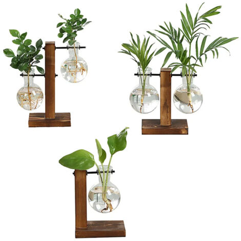 Pots de fleurs en verre vintage avec cadre vertical en bois adapts