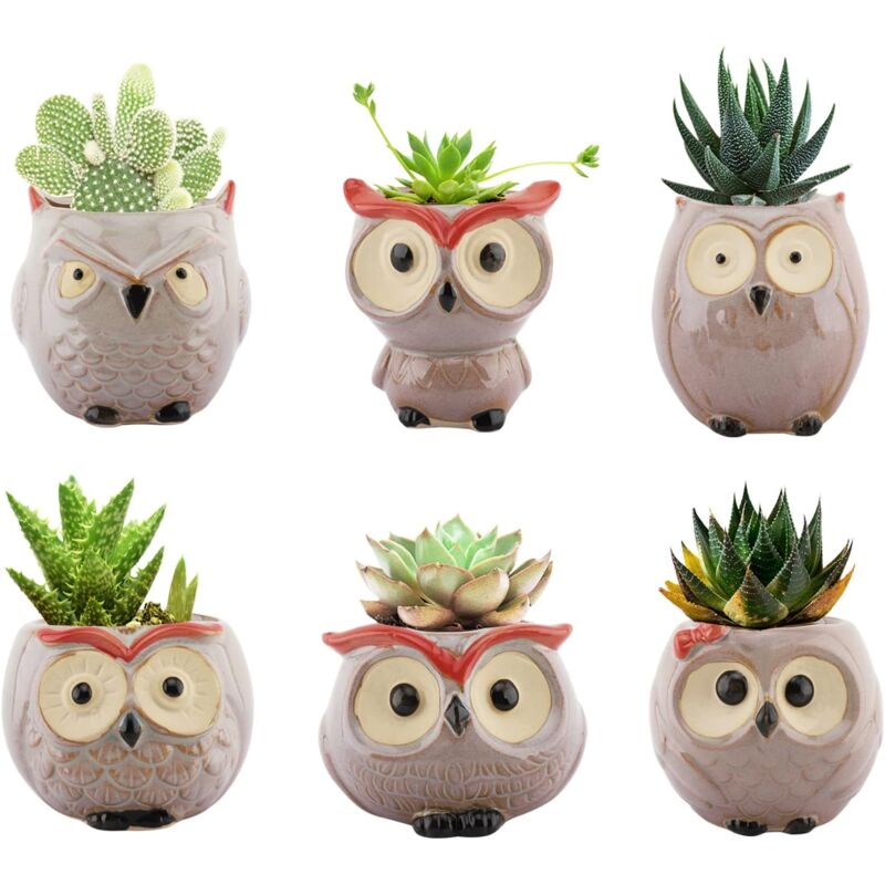 Pots de Fleurs pour Plante Succulente, Pot de Fleur de Hibou, Bonsai en Céramique