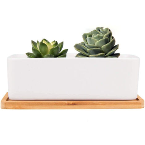 Pots de Fleurs Rectangulaires en Céramique Lot de 1 Pots de Plantes Succulents Céramiques Blanches avec Plateau en Bambou, avec Trou de Drainage, pour la Décoration de la Maison ou du Bureau