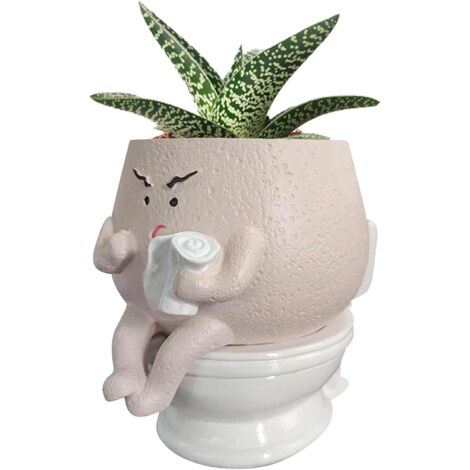 Pots de Fleurs Uniques - Pots de Fleurs pour l'intérieur - tête de Pots de