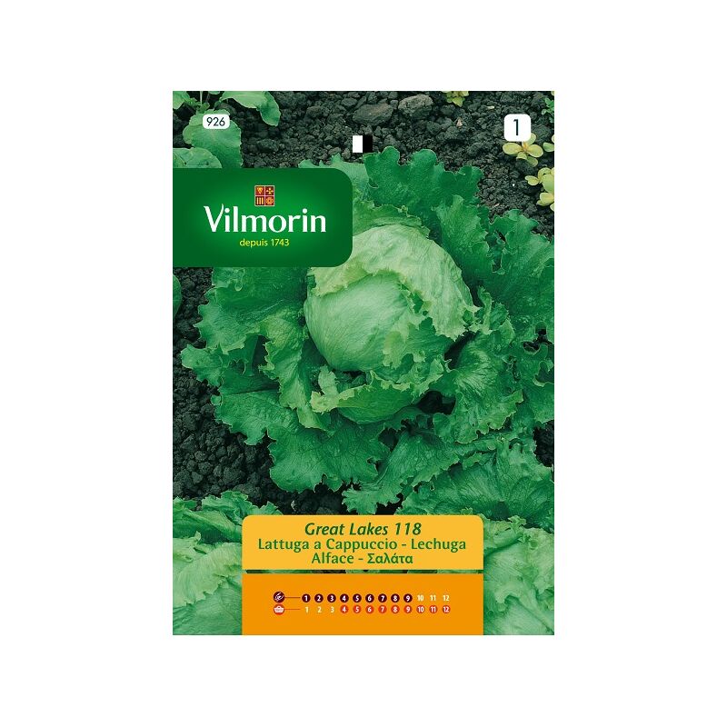 Vilmorin - Grandes graines de laitue du lac, Ref: 926, plus de 2,5 g