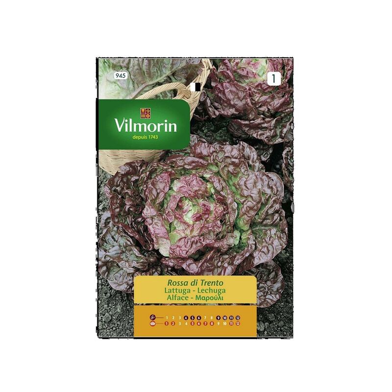 Vilmorin - Graines de laitue rose Ref: 945, 5 gr