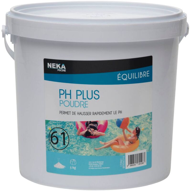 Intex - ph Plus Poudre 5 kg