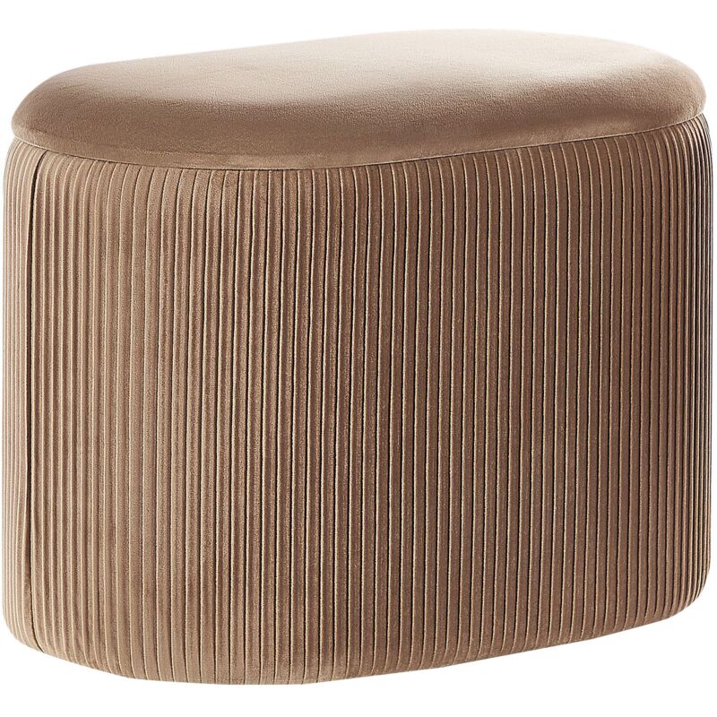 Pouf de Style Glamour avec Espace de Rangement Pratique 41 cm Richland