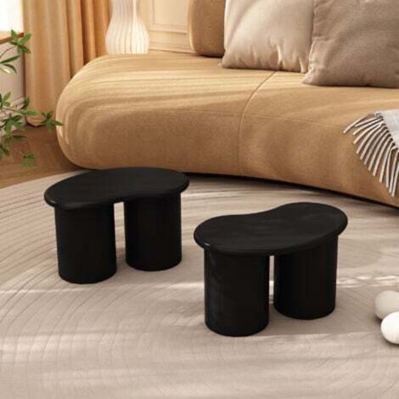 Pouf Repose Pieds multifonctionnel 2 Petits Bancs Irréguliers 42x22.5x24.5cm Tabouret Lot de 2 Chaussures pour Canapé Salon Meuble entrée Chambre Noir