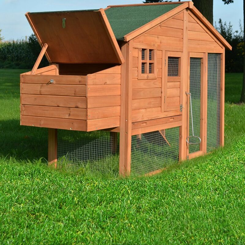 Poulailler De Luxe En Bois Pour Jardin Extérieur 2 5 Poules Cage Canard 2 Perchoir Nichoir 190 X 67 X 117 Cm