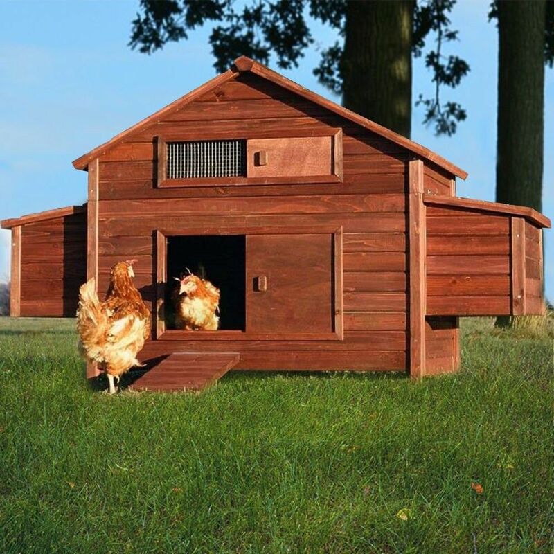 Poulailler En Bois Pour Jardin Extérieure 6 Poules Cage Canard équipé 2 Nichoirs 188 X 87 X 113 Cm Modèle 129 Ferme De Terrain