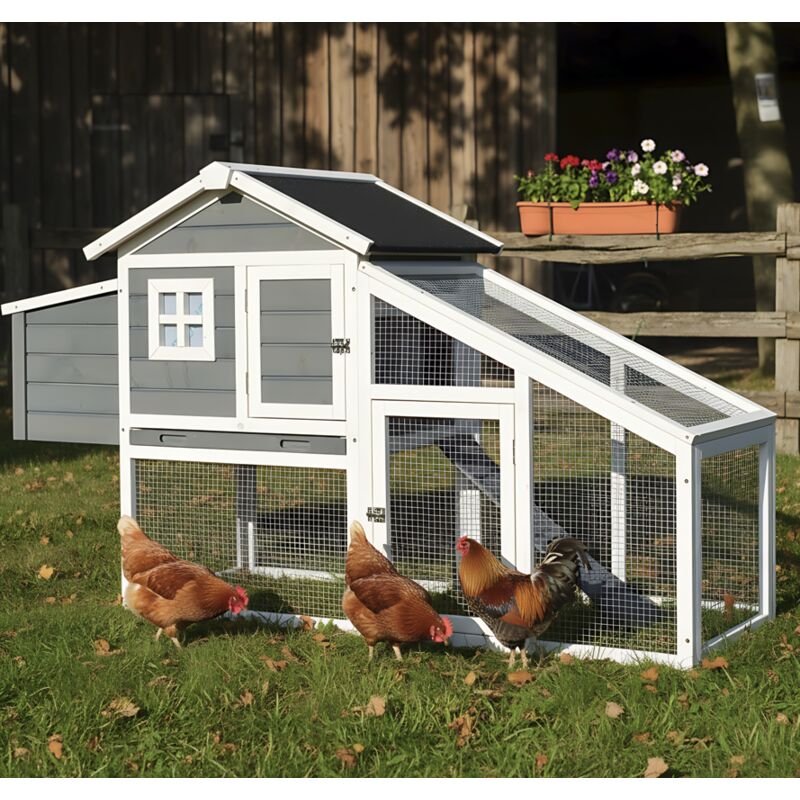 Bb-loisiram - Poulailler Exterieur en bois avec toit pliant 175x66x101 cm Modele- Dottie 151 Taille l