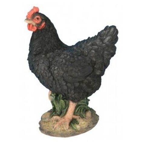 Poule naine noire