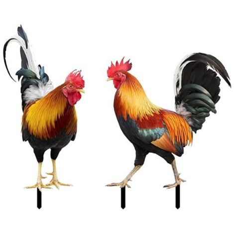 Poules Décoratives de Jardin, 2 Pieux à Main en Acrylique pour Jardin, Décorations de Poules en Chiffres