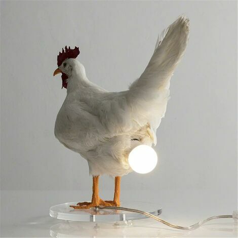 Poulet LED Lumières Oeufs Veilleuse Taxidermie Oeuf de Poulet Lampe de Bureau THSINDE