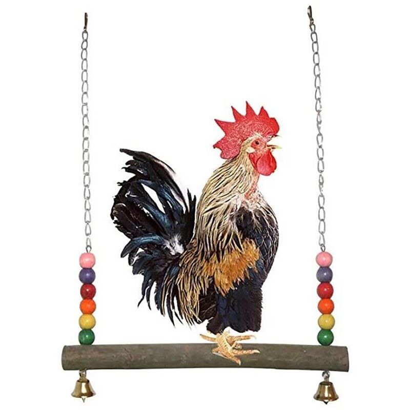Poulet Swing Hanging Bell Swing Perroquet Formation Perroquet Debout Perroquet Grande Balançoire Pont Suspendu Pont Suspendu Swing