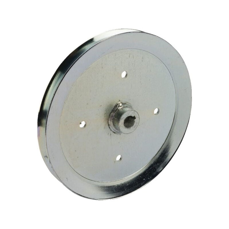 Poulie à gorge AYP A123666X