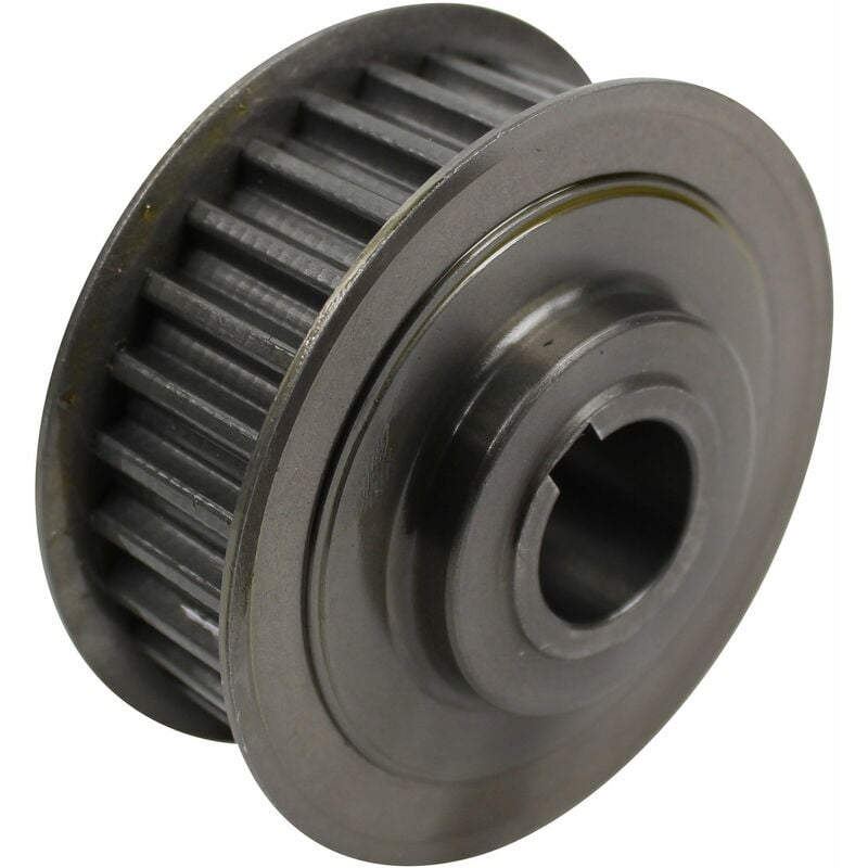 Poulie ggp Castelgarden 125601560/0