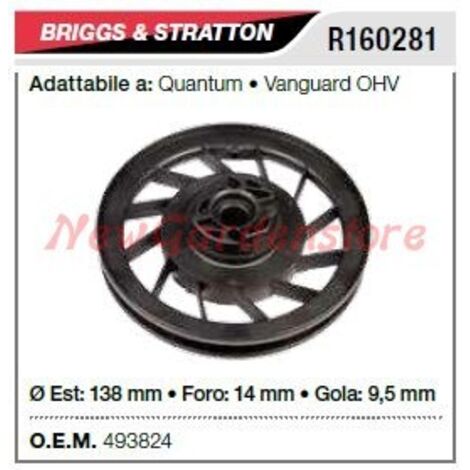 Poulie de démarrage B&S pour tondeuse à gazon quantum R160281