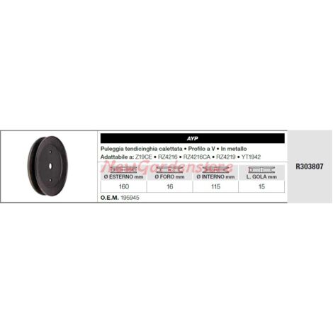 Poulie de renvoi cannelée AYP pour tracteur de pelouse Z19CE RZ4216 R303807