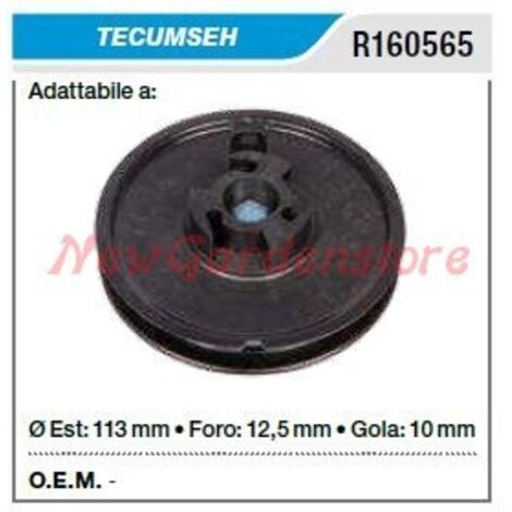 Poulie de transmission TECUMSEH tondeuse à gazon R160565