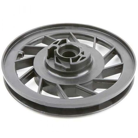 Poulie lanceur pour Briggs & Stratton 492832, 493824