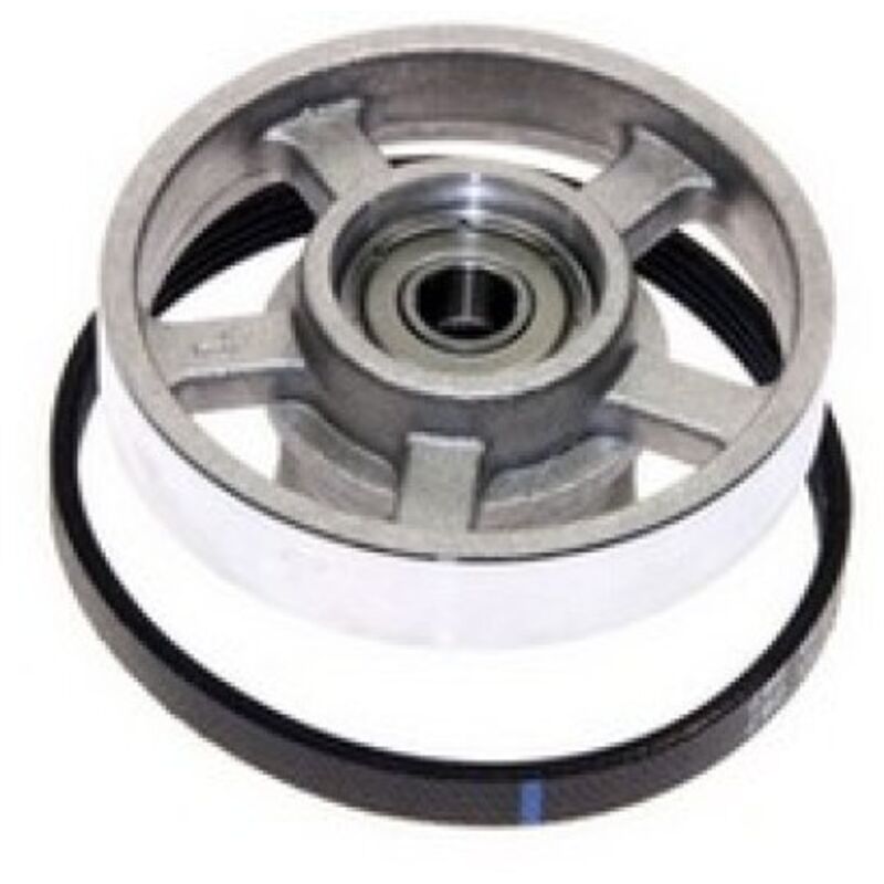 ENS. POULIE AVEC PETITE COURROIE, Sèche-linge, 492204403