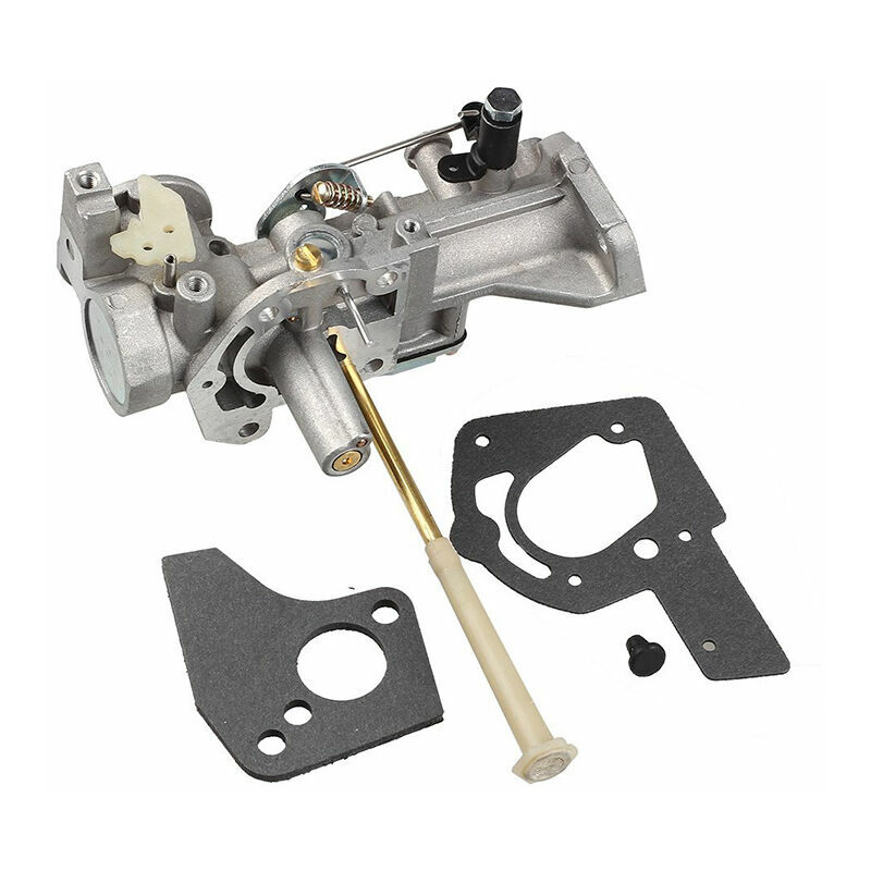Seenlin - pour Briggs & Stratton 498298 Carburateur 495426 692784 495951