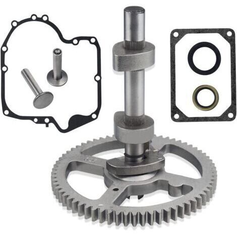 Pour Briggs Stratton 793880 Arbre à cames 793583 792681 791942 795102 Joint 697110 H465
