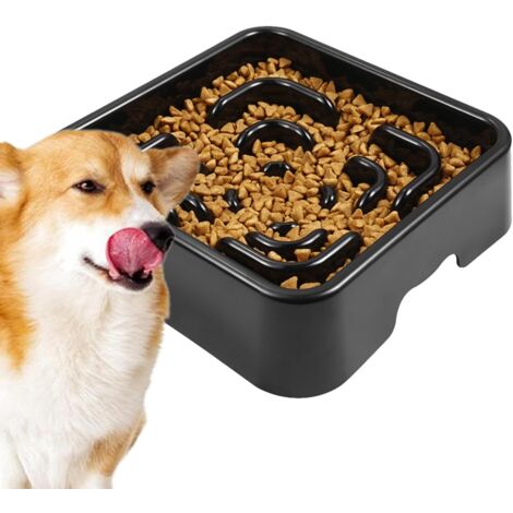 pour Chien Alimentation Lente gamelle pour Chien