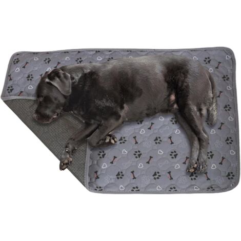pour chien PIPI Tapis de toilette pour chien Tapis absorbant