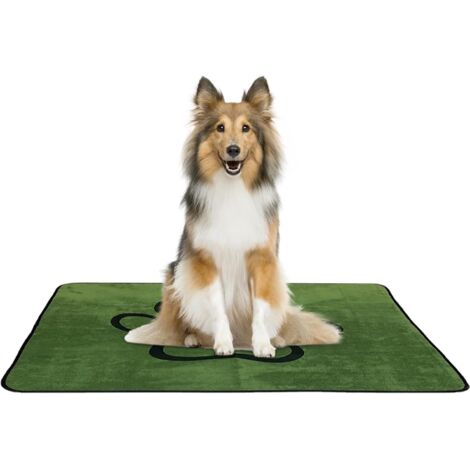 pour Chiot Protection Absorbante pour Chien Tapis Impermable
