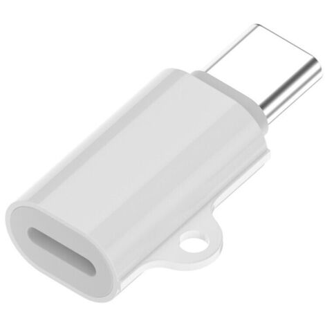 Pour IPhone15 TéLéPhone Portable PD Adaptateur Multifonction de Charge Rapide éClairage Convertisseur de Charge Femelle Vers Type-C Male, B