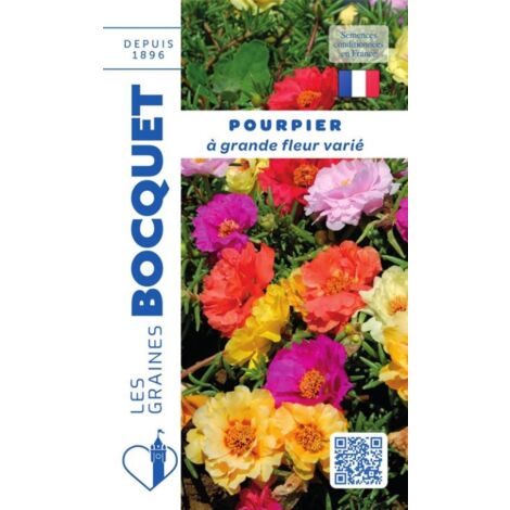 Pourpier fleuri à fleur double varié - 0,7g