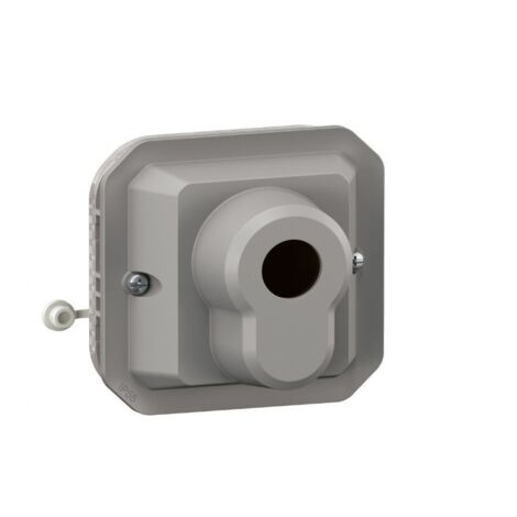 poussoir à clé - barillet européen - gris - composable - legrand plexo 069705l