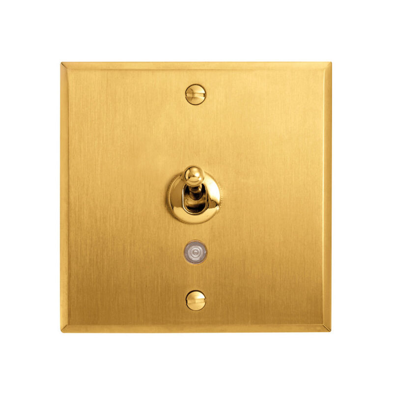 Art d' Arnould univers Mémoire poussoir à levier lumineux 6A or brossé (67217)