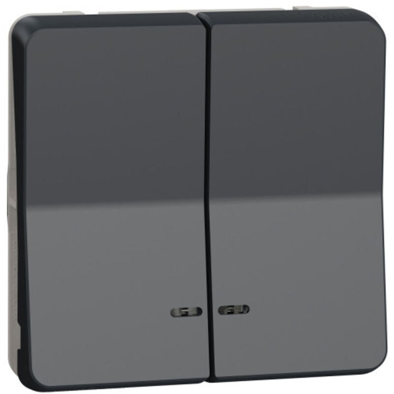 Schneider Electric - Double bouton-poussoir gris lumineux led mureva styl, composable, Ref.MUR35228 Schneider Electric - Double bouton-poussoir gris lumineux led mureva styl, composable, Ref.MUR35228