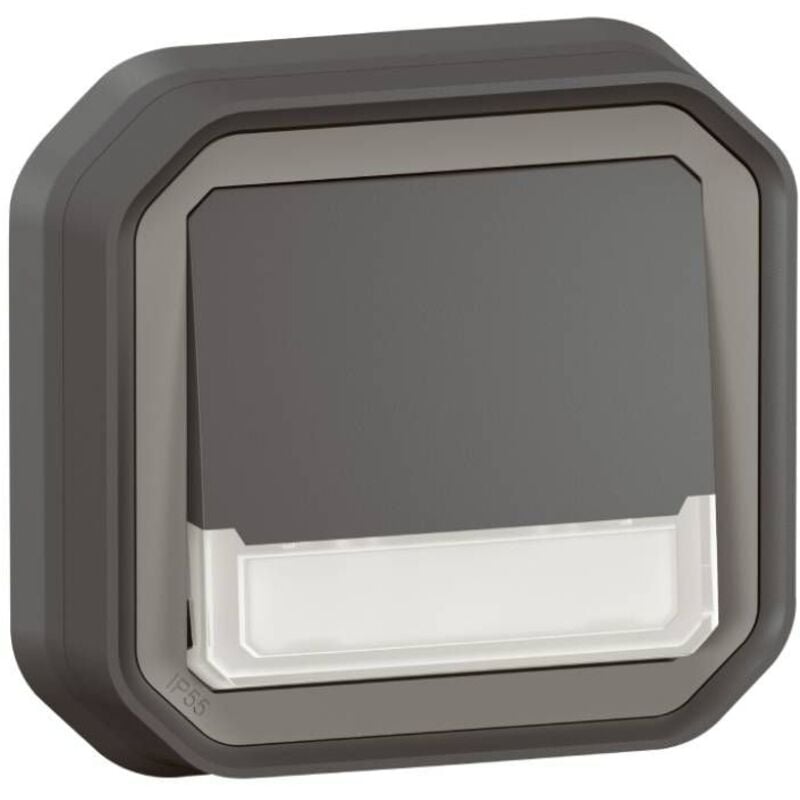 Poussoir no-nf lumineux porte-étiquette avec voyant étanche Plexo 10A IP55 IK08 complet fixation encastré - anthracite