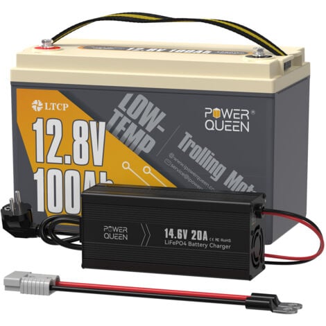 chargeur de batterie 6V/12V 128w CT37003 CROWN – Ventes D'outillages  professionnels