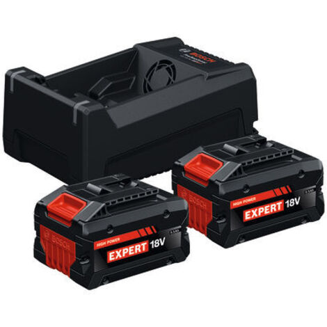 Power Set BOSCH (2 x EXBA18V-55 + GAL12V/18V-80)