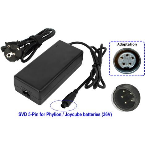 PowerSmart Chargeur 2A pour batterie Phylion Joycube 36V Gitane E-Classic, E-Zumba, Organ, Organ E-Central